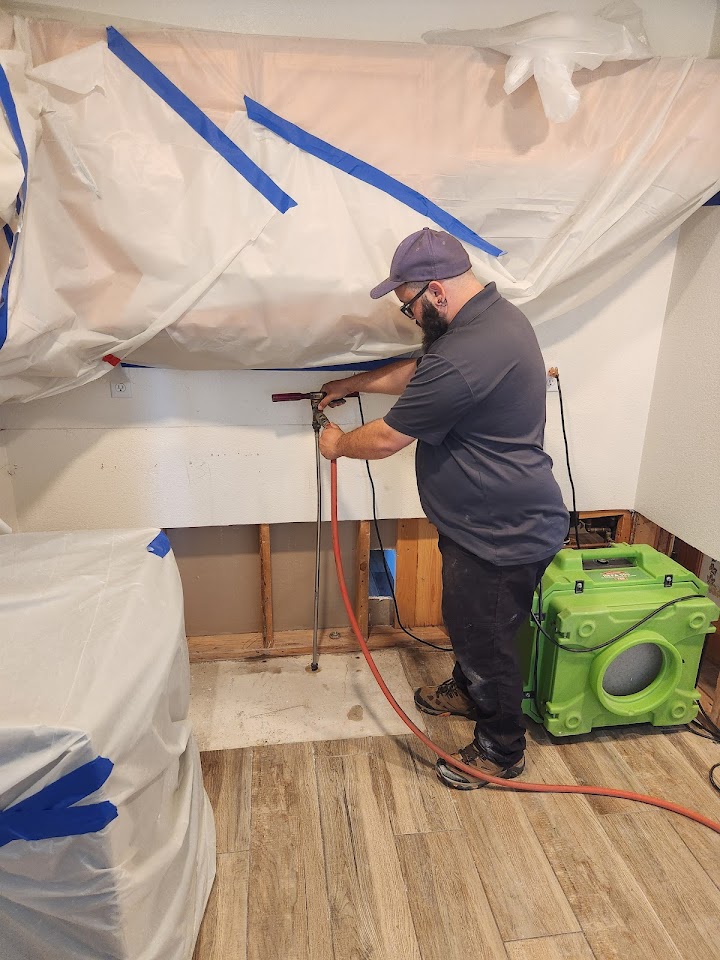 Creepy Crawly Pest Control project